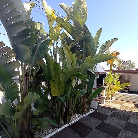 Villa Juncos Can Furnet Экстерьер фото